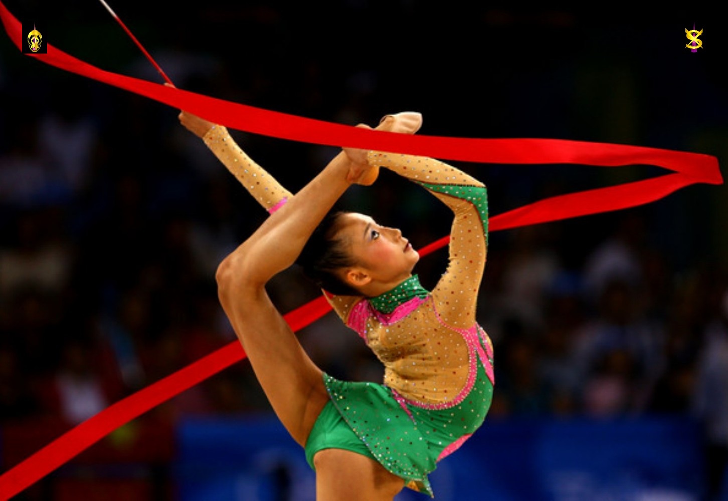 Nation of XI's Femme Fatales of Rhythmic Gymnastics! 