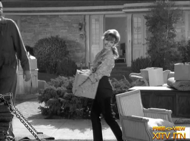 XITV FREE <> VIEW Bewitched! Starring Elizabeth Montgomery and Kipp Hamilton!