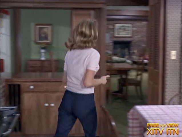 XITV FREE <> VIEW Bewitched! Starring Elizabeth Montgomery, Erin Murphy, and Kathleen Nolan!