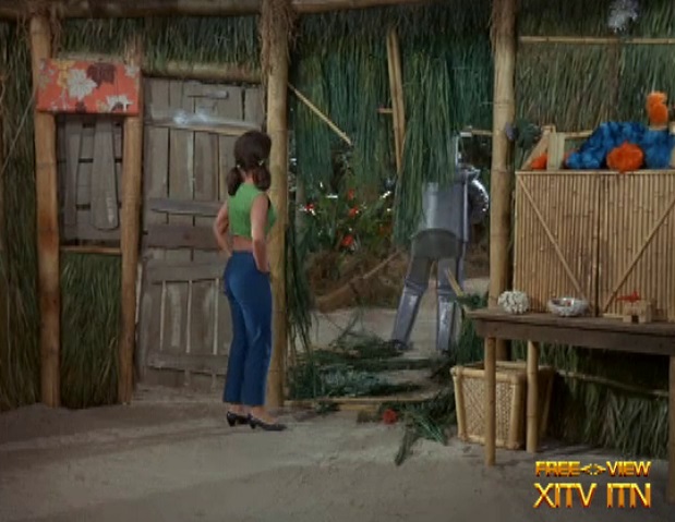 XITV FREE <> VIEW Gilligan's Island! Starring Tina Louise, Dawn Wells, and Natalie Schafer!