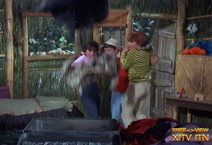 XITV FREE <> VIEW Gilligan's Island! Starring Tina Louise, Dawn Wells, and Natalie Schafer!