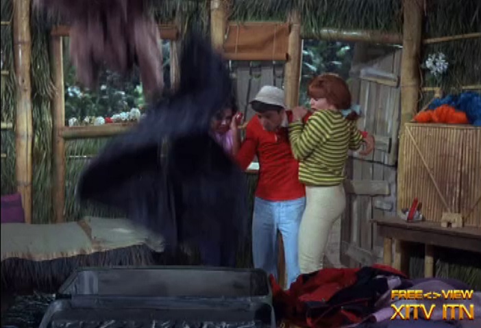 XITV FREE <> VIEW Gilligan's Island! Starring Tina Louise, Dawn Wells, and Natalie Schafer!