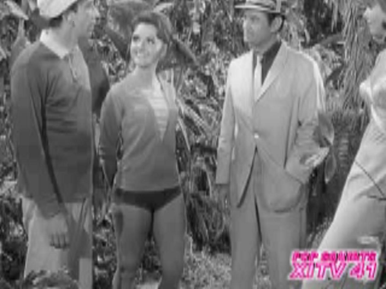 XITV's Noir Cheri! Dawn Wells! Mary Ann Summers!